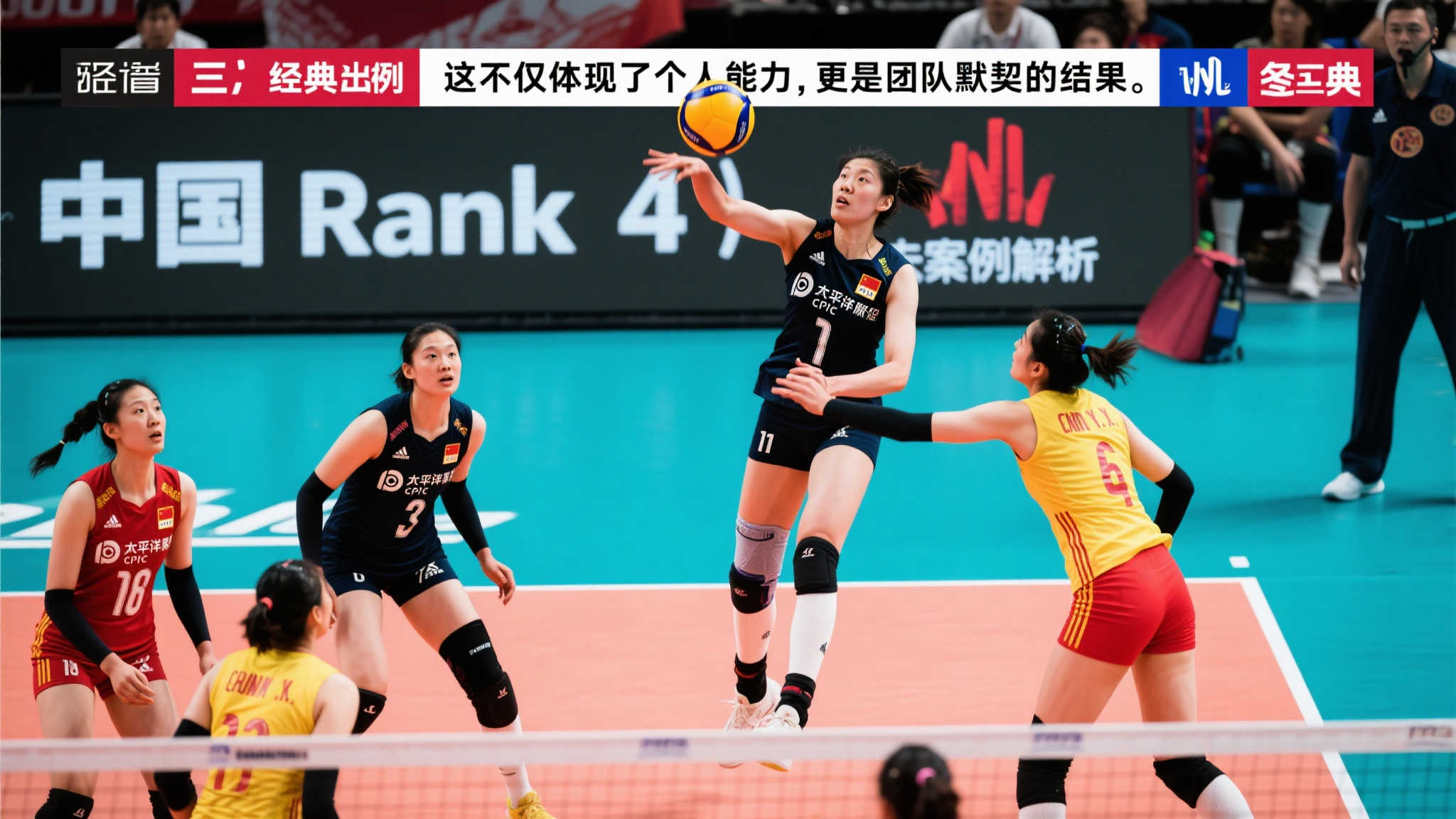 的出色表现 的出色表现