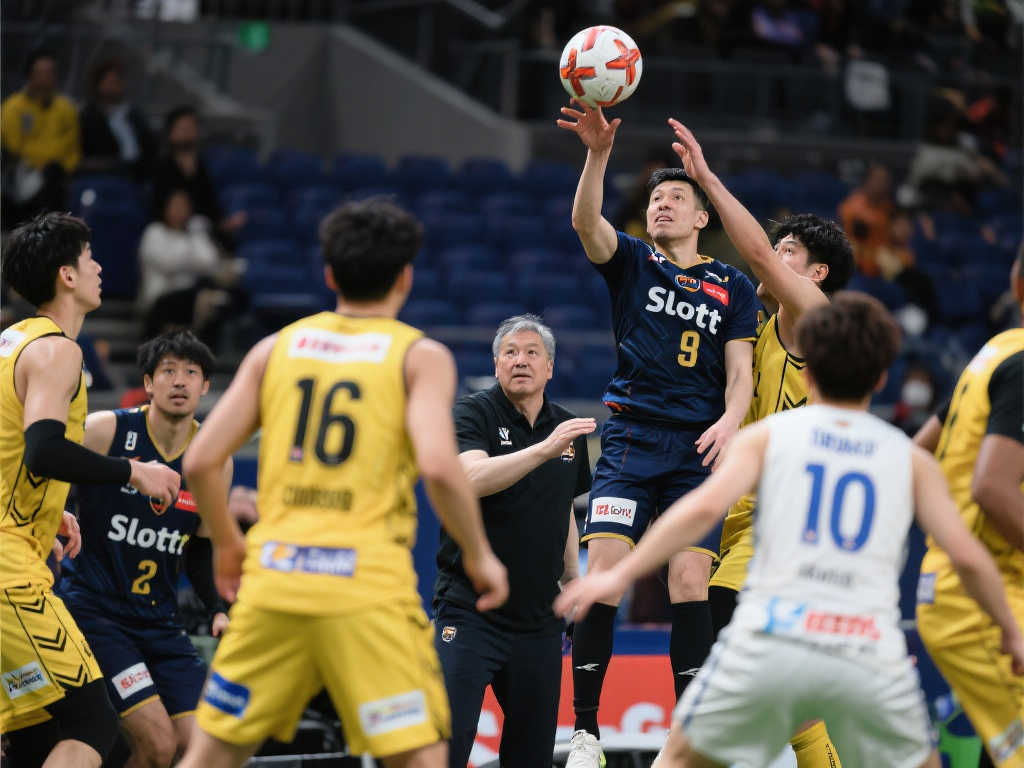 星弗拉泰西 星弗拉泰西